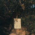 Savon Oliveta Botanical: Rosemary, Lemon & Thyme