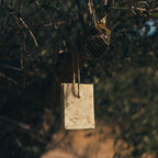 Savon Oliveta Botanical: Rosemary, Lemon & Thyme