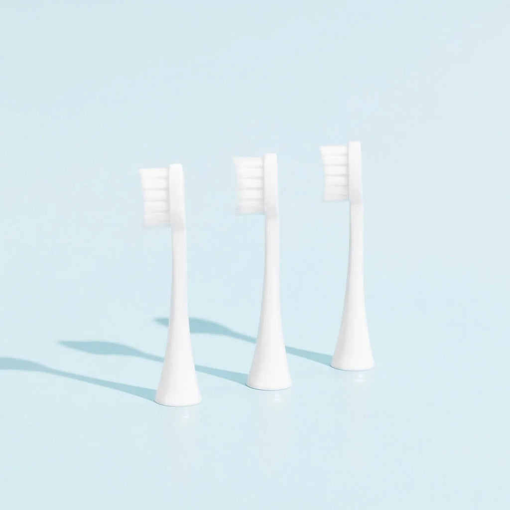 Têtes De Brosse (X3) - Blanches