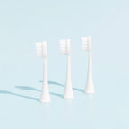Têtes De Brosse (X3) - Blanches