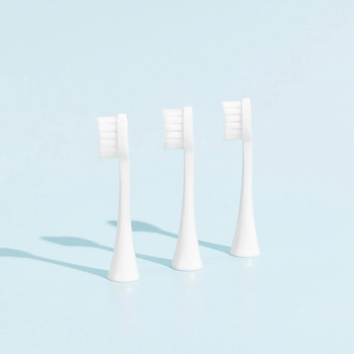 Têtes De Brosse (X3) - Blanches