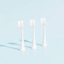 Têtes De Brosse (X3) - Blanches