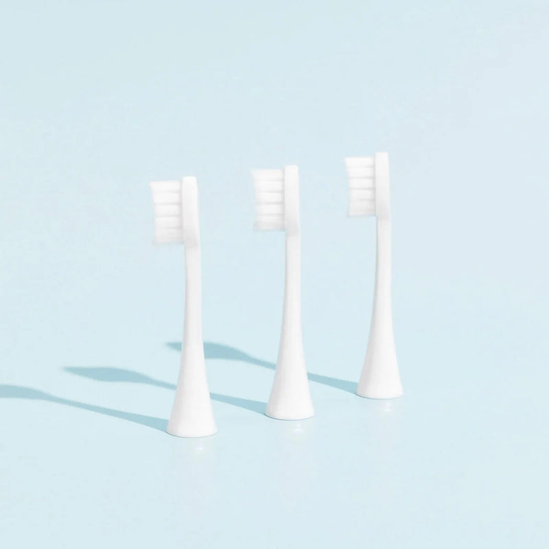 Têtes De Brosse (X3) - Blanches