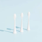 Têtes De Brosse (X3) - Blanches