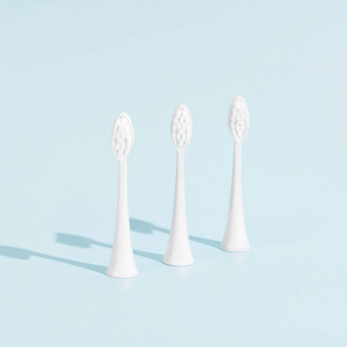 Têtes De Brosse (X3) - Blanches