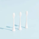 Têtes De Brosse (X3) - Blanches