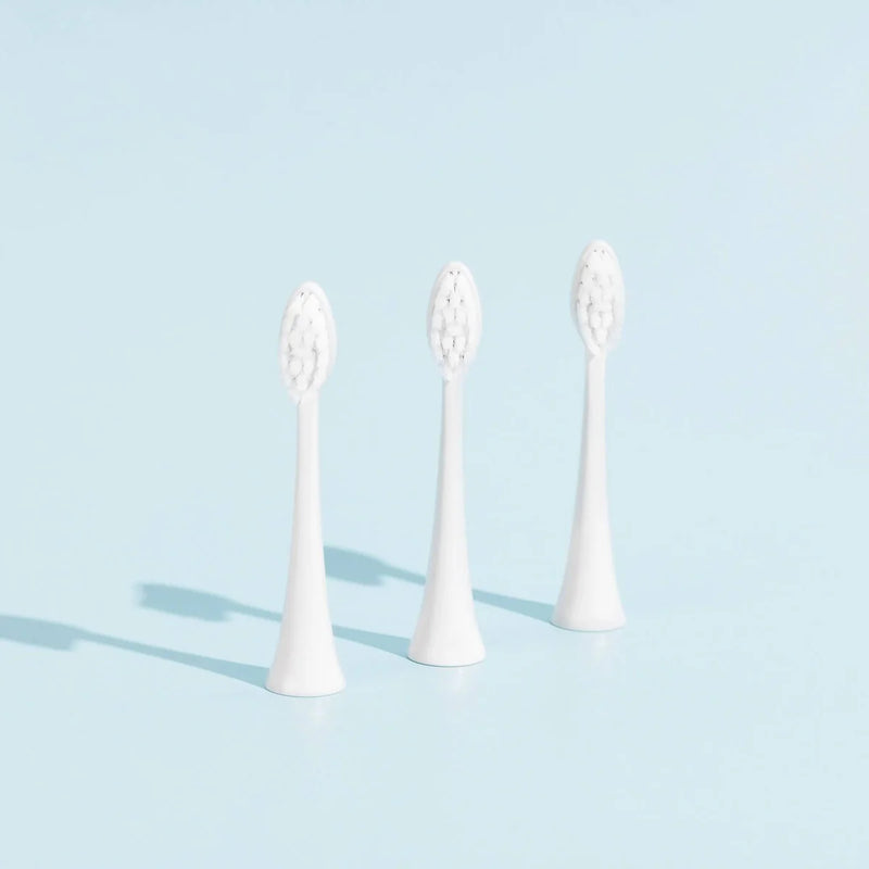 Têtes De Brosse (X3) - Blanches