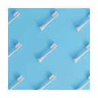 Têtes De Brosse (X3) - Blanches