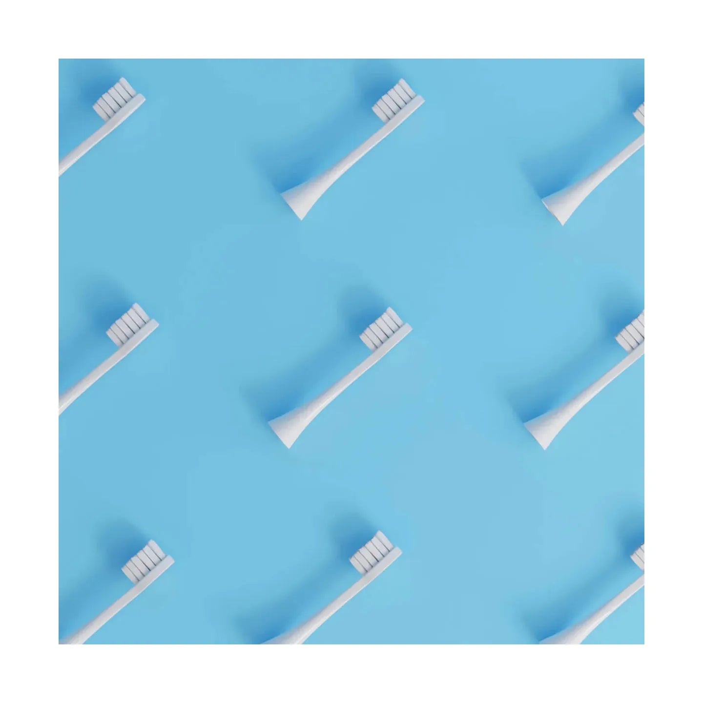 Têtes De Brosse (X3) - Blanches