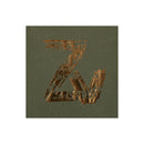 Zadig & Voltaire Kids - Tee-Shirt Manches Courtes - Army Green - Fille