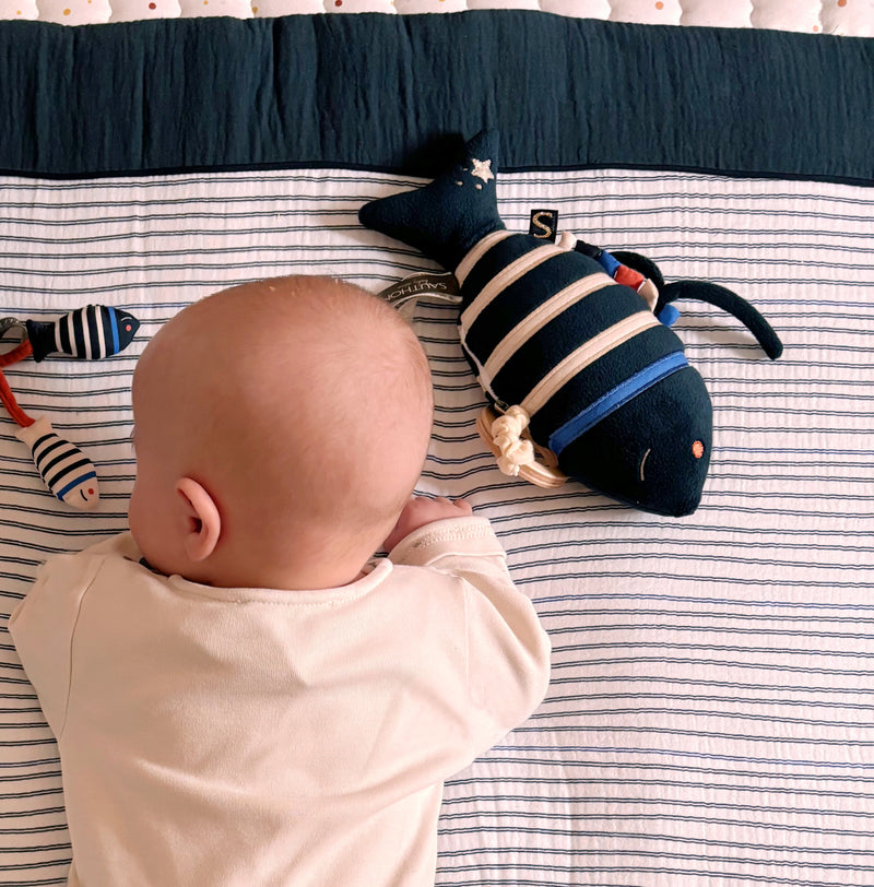 Peluche Mini Musical Poisson En Velours