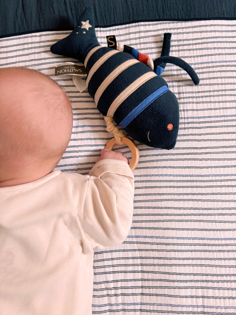 Peluche Mini Musical Poisson En Velours