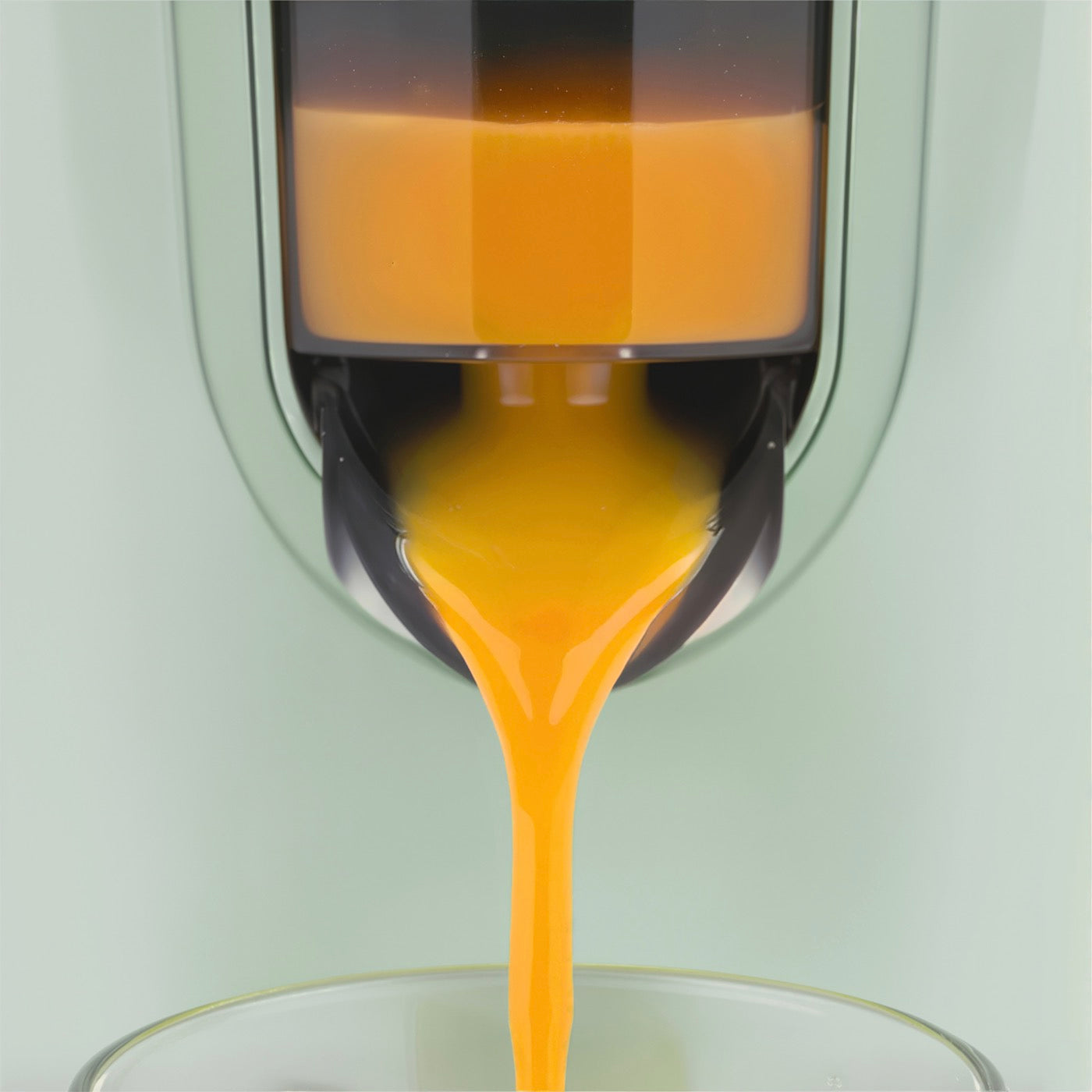 Electric Citrus Juicer - Green