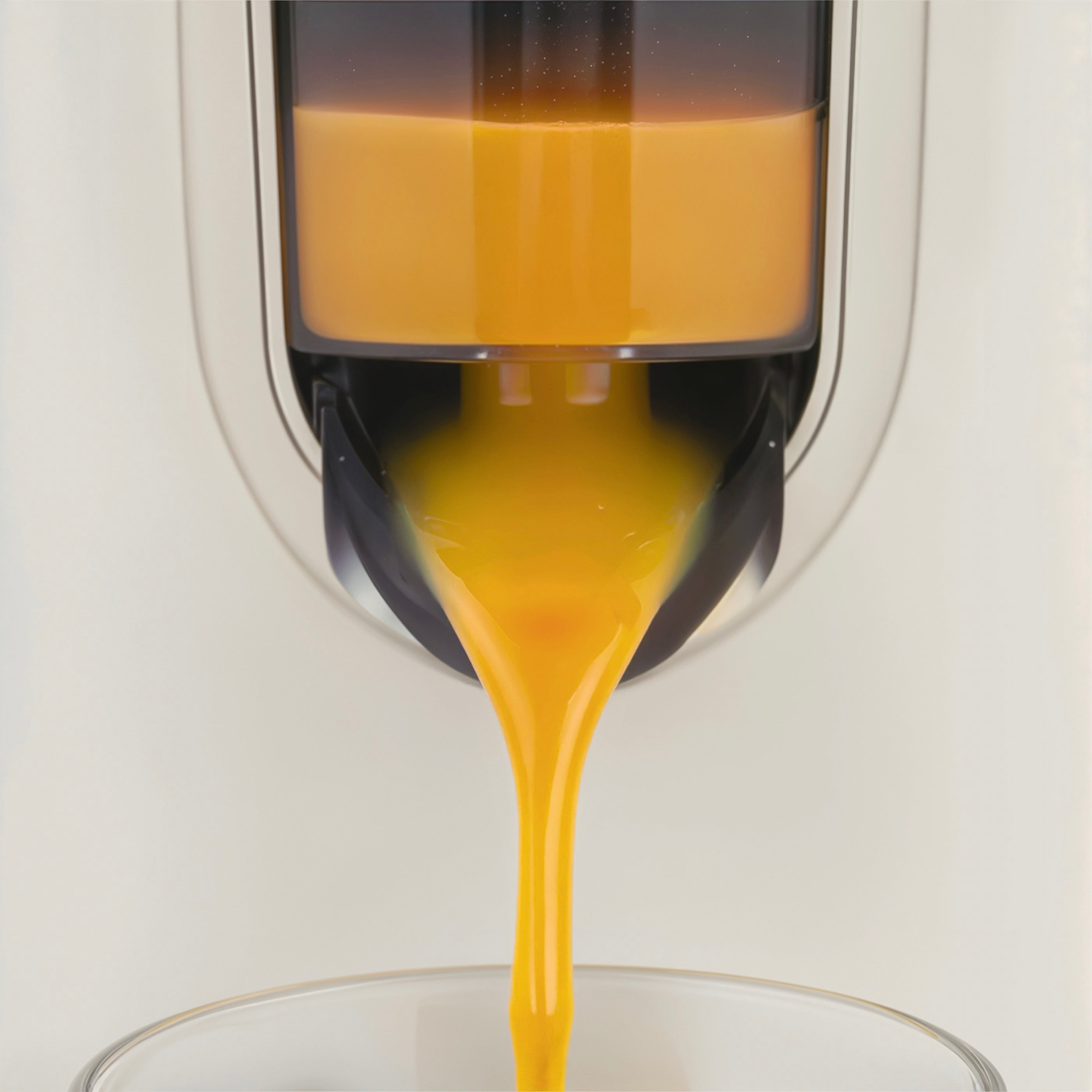 Electric Citrus Press - Beige