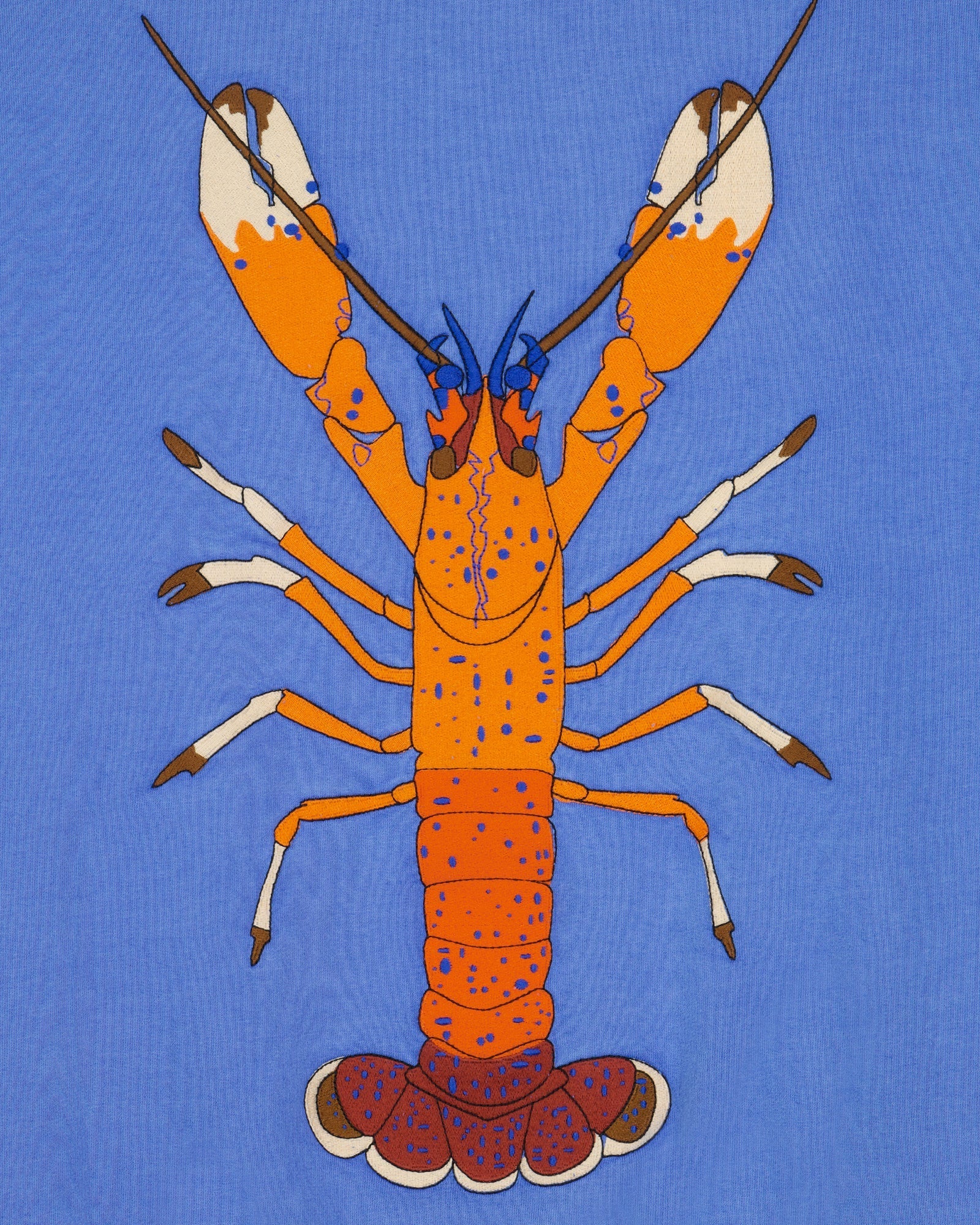 "Lobster" Réaumur Hoodie