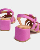 Alosa Fucsia