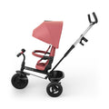 Aston 2 Plus trehjulet cykel Rosa