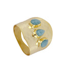 anillo amazonia