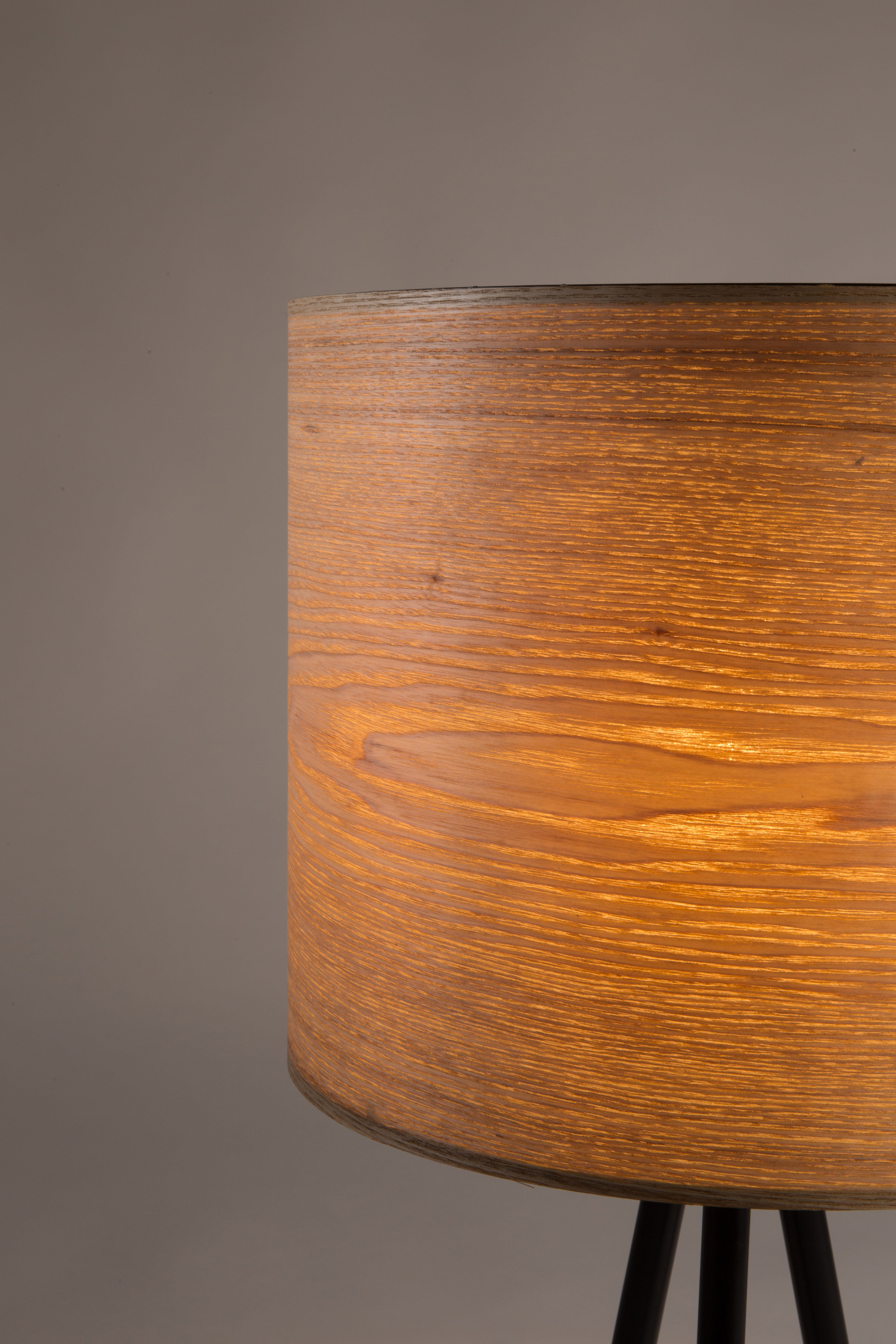 Woodland - Table Lamp - Ash Veneer - Brown/Multicolor