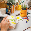 Entrega de plantas Visionary Creative Box 8 suculentas