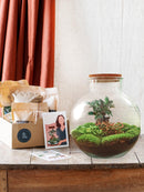 Kit de terrario de bricolaje - BAOBAB