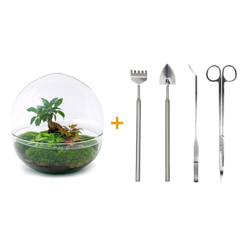 Entrega de plantas Kit de terrario DIY - DOME XL