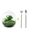 Entrega de plantas Kit de terrario DIY - DOME XL