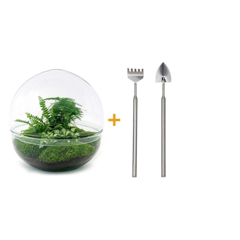Entrega de plantas Kit de terrario DIY - DOME XL