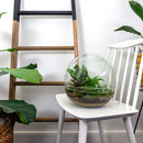 Entrega de plantas Kit de terrario DIY - DOME XL