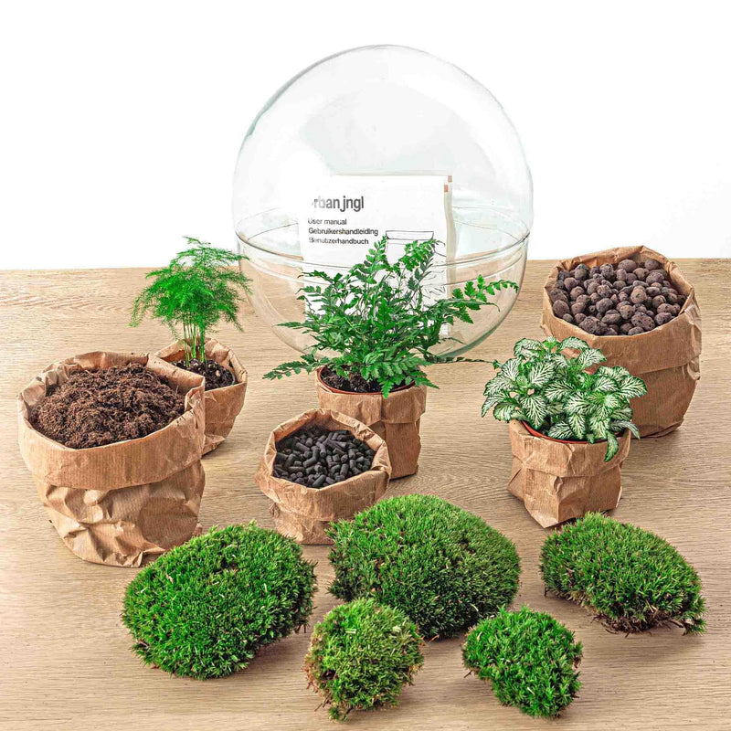 Entrega de plantas Kit de terrario DIY - DOME XL