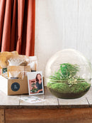 Entrega de plantas Kit de terrario DIY - DOME XL