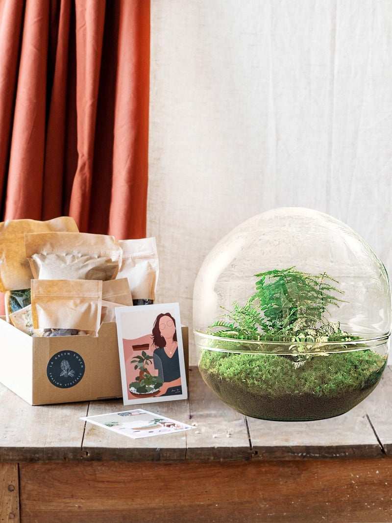 Entrega de plantas Kit de terrario DIY - DOME XL