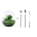Entrega de plantas Kit de terrario DIY - DOME XL