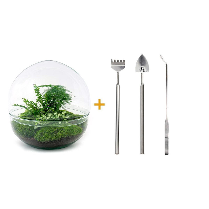 Entrega de plantas Kit de terrario DIY - DOME XL