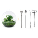 Entrega de plantas Kit de terrario DIY - DOME XL