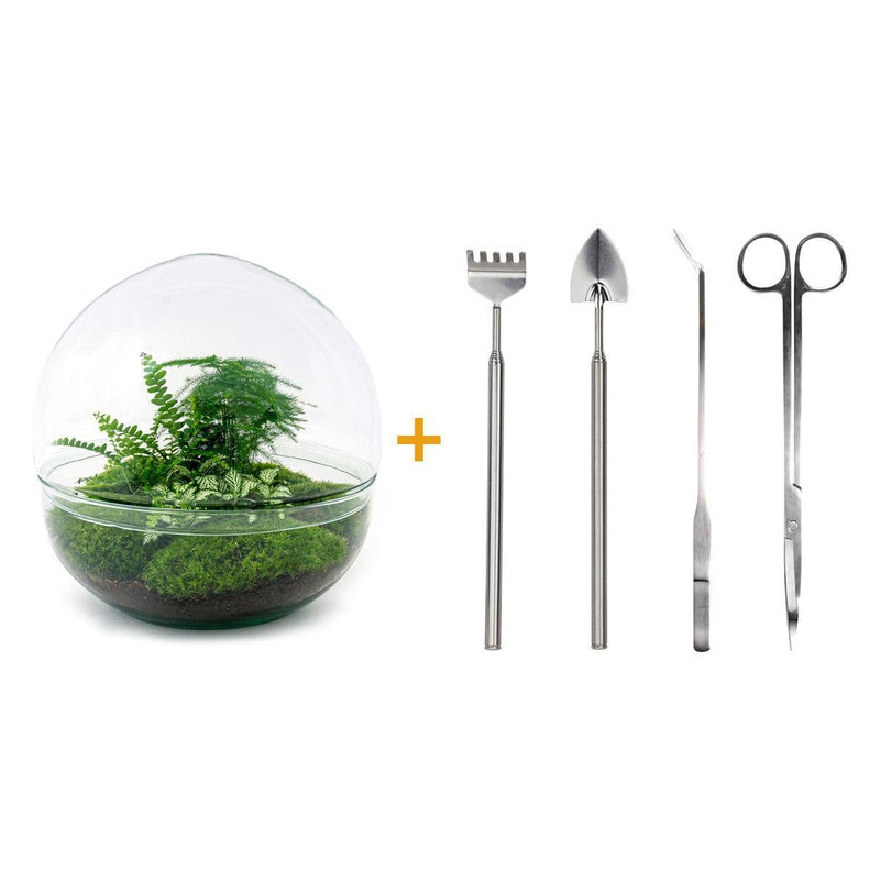 Entrega de plantas Kit de terrario DIY - DOME XL