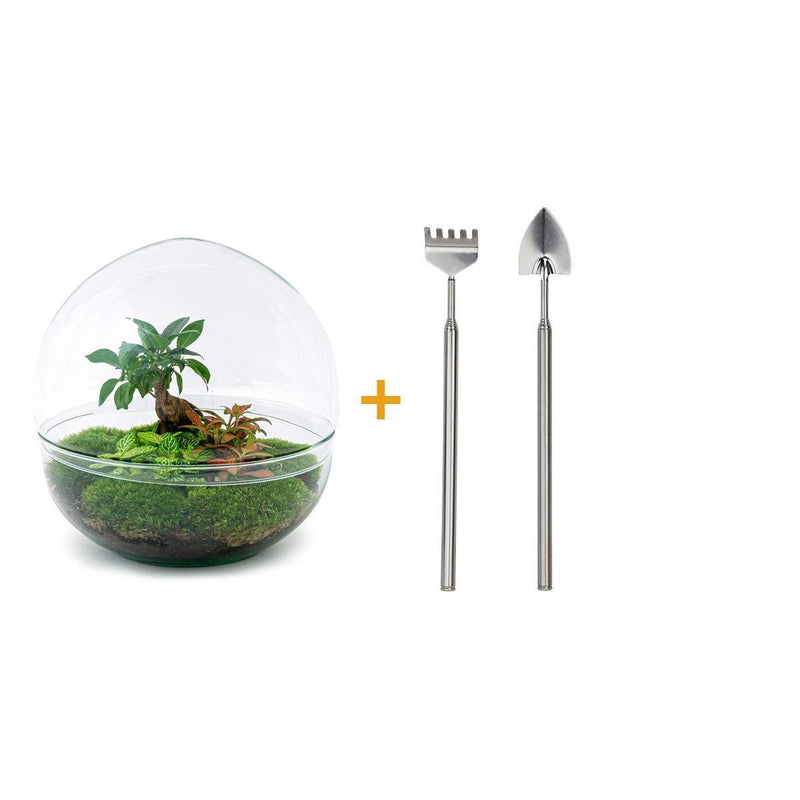 Entrega de plantas Kit de terrario DIY - DOME XL
