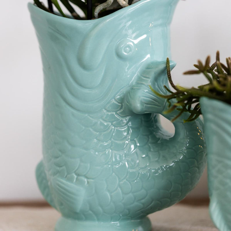 Entrega de plantas Orquídea Amabilis Blanca y Crassula Hobbit en Macetas Turquesa
