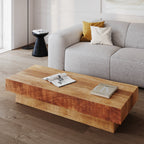 Areto - Mango Wood Coffee Table