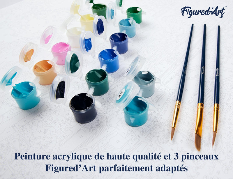 Peinture Par Numéros - Regard Envoutant