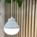 Led module - Lily