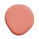 Image de la peinture Coral brick - teinte terracotta corail