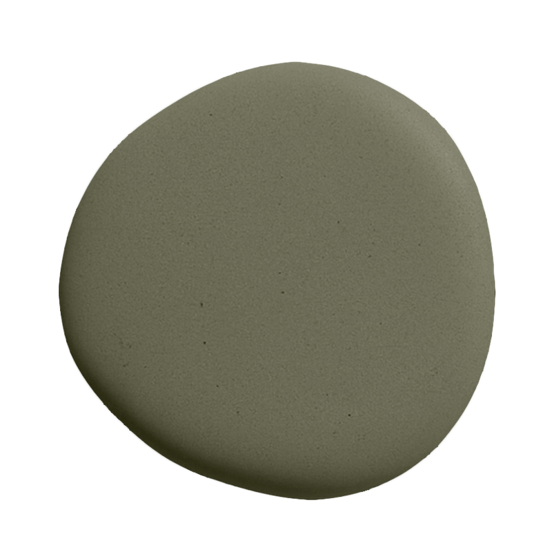 Image de la peinture Pitchy olive - teinte vert olive fonce