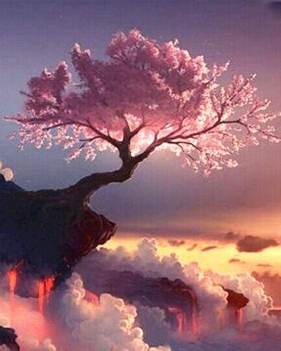Peinture Par Numéros - Arbre Rose Et Nuages
