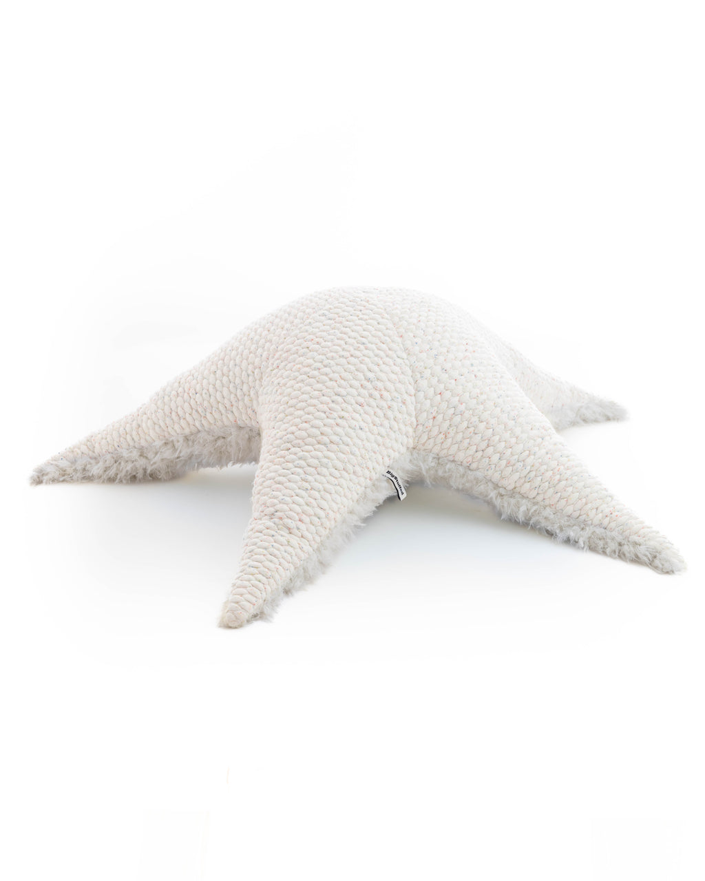 The Starfish