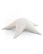 The Starfish