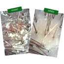 Concentré Anti-Pso & Plaques