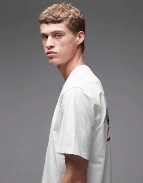 Dickies Wellsville Backprint T-Shirt In White - White