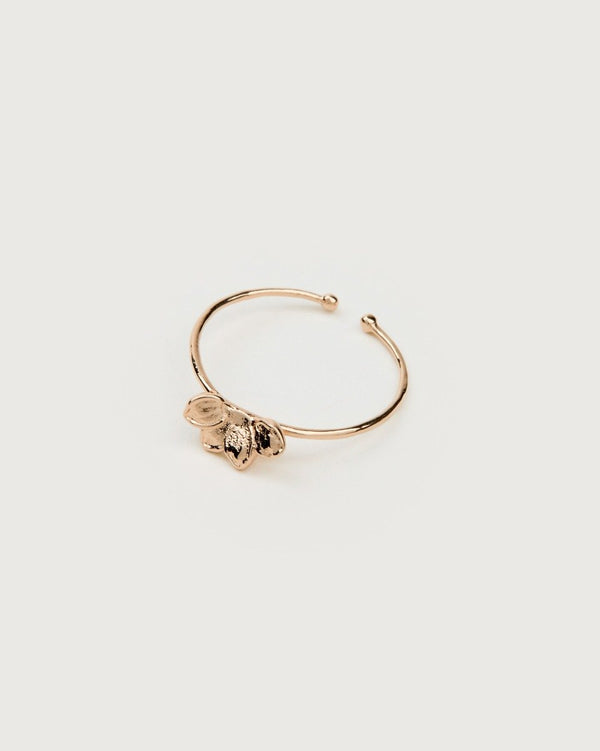Anello Fleurae