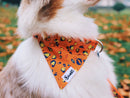 Bandana Léopard Néon Orange - Chien